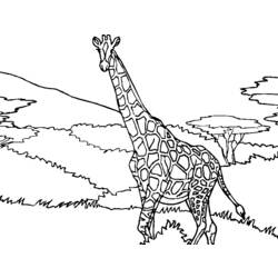 Malvorlage: Giraffe (Tiere) #7305 - Kostenlose Malvorlagen zum Ausdrucken