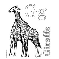 Malvorlage: Giraffe (Tiere) #7316 - Kostenlose Malvorlagen zum Ausdrucken