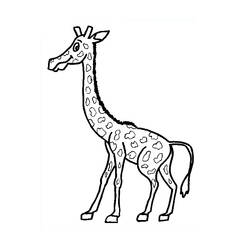 Malvorlage: Giraffe (Tiere) #7324 - Kostenlose Malvorlagen zum Ausdrucken