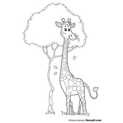 Malvorlage: Giraffe (Tiere) #7329 - Kostenlose Malvorlagen zum Ausdrucken