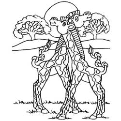 Malvorlage: Giraffe (Tiere) #7344 - Kostenlose Malvorlagen zum Ausdrucken