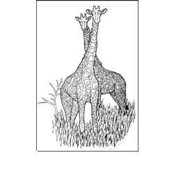 Malvorlage: Giraffe (Tiere) #7365 - Kostenlose Malvorlagen zum Ausdrucken