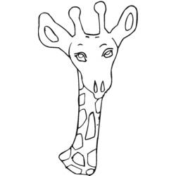 Malvorlage: Giraffe (Tiere) #7375 - Kostenlose Malvorlagen zum Ausdrucken