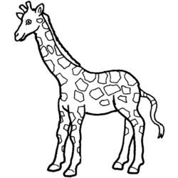 Malvorlage: Giraffe (Tiere) #7387 - Kostenlose Malvorlagen zum Ausdrucken