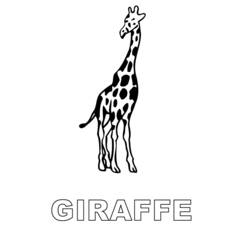 Malvorlage: Giraffe (Tiere) #7398 - Kostenlose Malvorlagen zum Ausdrucken