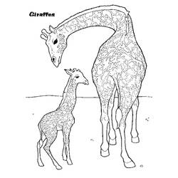 Malvorlage: Giraffe (Tiere) #7413 - Kostenlose Malvorlagen zum Ausdrucken