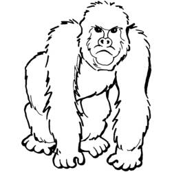Malvorlage: Gorilla (Tiere) #7419 - Kostenlose Malvorlagen zum Ausdrucken