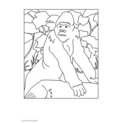 Malvorlage: Gorilla (Tiere) #7451 - Kostenlose Malvorlagen zum Ausdrucken