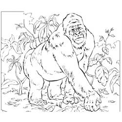 Malvorlage: Gorilla (Tiere) #7455 - Kostenlose Malvorlagen zum Ausdrucken