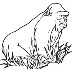 Malvorlage: Gorilla (Tiere) #7459 - Kostenlose Malvorlagen zum Ausdrucken
