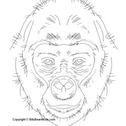 Malvorlage: Gorilla (Tiere) #7463 - Kostenlose Malvorlagen zum Ausdrucken
