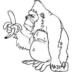 Malvorlage: Gorilla (Tiere) #7482 - Kostenlose Malvorlagen zum Ausdrucken