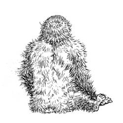 Malvorlage: Gorilla (Tiere) #7507 - Kostenlose Malvorlagen zum Ausdrucken