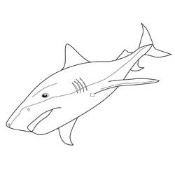 Malvorlage: Hai (Tiere) #14764 - Kostenlose Malvorlagen zum Ausdrucken