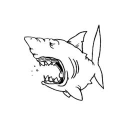 Malvorlage: Hai (Tiere) #14773 - Kostenlose Malvorlagen zum Ausdrucken