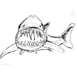 Malvorlage: Hai (Tiere) #14775 - Kostenlose Malvorlagen zum Ausdrucken