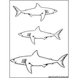Malvorlage: Hai (Tiere) #14776 - Kostenlose Malvorlagen zum Ausdrucken