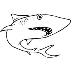 Malvorlage: Hai (Tiere) #14779 - Kostenlose Malvorlagen zum Ausdrucken
