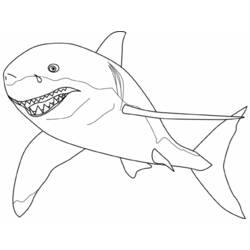 Malvorlage: Hai (Tiere) #14780 - Kostenlose Malvorlagen zum Ausdrucken
