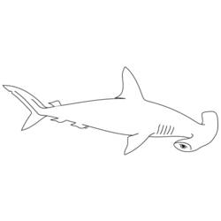 Malvorlage: Hai (Tiere) #14787 - Kostenlose Malvorlagen zum Ausdrucken