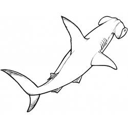 Malvorlage: Hai (Tiere) #14798 - Kostenlose Malvorlagen zum Ausdrucken