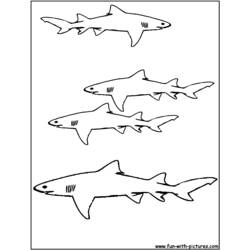 Malvorlage: Hai (Tiere) #14800 - Kostenlose Malvorlagen zum Ausdrucken