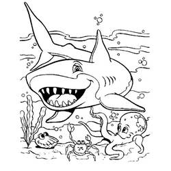 Malvorlage: Hai (Tiere) #14802 - Kostenlose Malvorlagen zum Ausdrucken