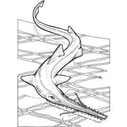 Malvorlage: Hai (Tiere) #14819 - Kostenlose Malvorlagen zum Ausdrucken