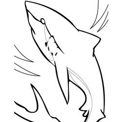 Malvorlage: Hai (Tiere) #14822 - Kostenlose Malvorlagen zum Ausdrucken
