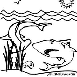 Malvorlage: Hai (Tiere) #14831 - Kostenlose Malvorlagen zum Ausdrucken