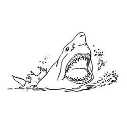 Malvorlage: Hai (Tiere) #14835 - Kostenlose Malvorlagen zum Ausdrucken
