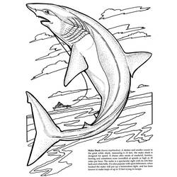 Malvorlage: Hai (Tiere) #14839 - Kostenlose Malvorlagen zum Ausdrucken