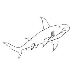 Malvorlage: Hai (Tiere) #14851 - Kostenlose Malvorlagen zum Ausdrucken