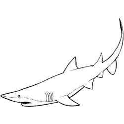 Malvorlage: Hai (Tiere) #14871 - Kostenlose Malvorlagen zum Ausdrucken