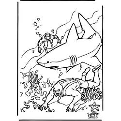 Malvorlage: Hai (Tiere) #14878 - Kostenlose Malvorlagen zum Ausdrucken