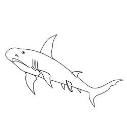 Malvorlage: Hai (Tiere) #14882 - Kostenlose Malvorlagen zum Ausdrucken