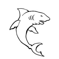 Malvorlage: Hai (Tiere) #14890 - Kostenlose Malvorlagen zum Ausdrucken