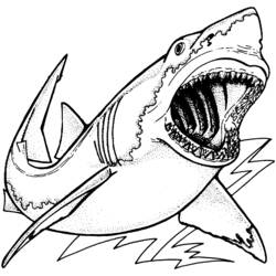 Malvorlage: Hai (Tiere) #14896 - Kostenlose Malvorlagen zum Ausdrucken