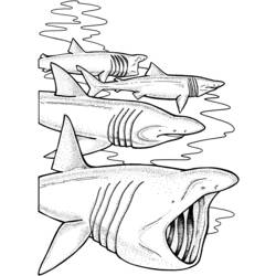 Malvorlage: Hai (Tiere) #14902 - Kostenlose Malvorlagen zum Ausdrucken