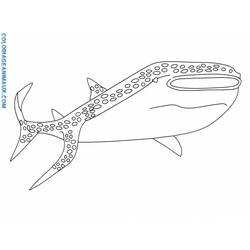 Malvorlage: Hai (Tiere) #14905 - Kostenlose Malvorlagen zum Ausdrucken