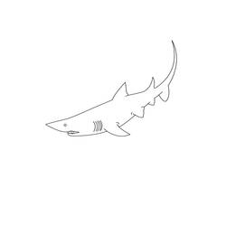 Malvorlage: Hai (Tiere) #14906 - Kostenlose Malvorlagen zum Ausdrucken