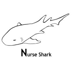 Malvorlage: Hai (Tiere) #14914 - Kostenlose Malvorlagen zum Ausdrucken