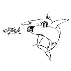 Malvorlage: Hai (Tiere) #14921 - Kostenlose Malvorlagen zum Ausdrucken