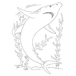 Malvorlage: Hai (Tiere) #14927 - Kostenlose Malvorlagen zum Ausdrucken