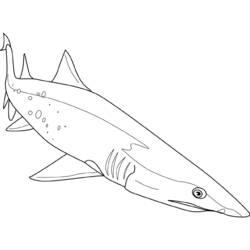 Malvorlage: Hai (Tiere) #14949 - Kostenlose Malvorlagen zum Ausdrucken