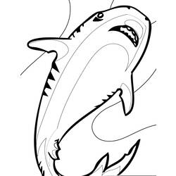 Malvorlage: Hai (Tiere) #14955 - Kostenlose Malvorlagen zum Ausdrucken