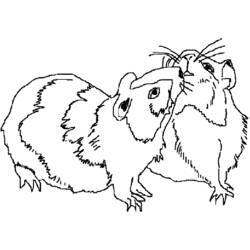 Malvorlage: Hamster (Tiere) #8127 - Kostenlose Malvorlagen zum Ausdrucken