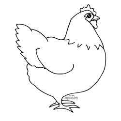 Zeichnungen zum Ausmalen: Henne - Druckbare Malvorlagen