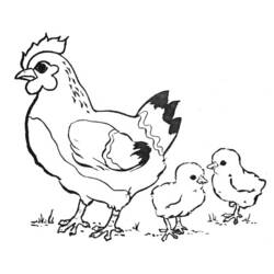 Malvorlage: Henne (Tiere) #17438 - Kostenlose Malvorlagen zum Ausdrucken