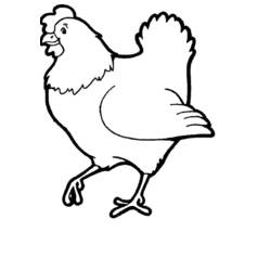 Malvorlage: Henne (Tiere) #17448 - Kostenlose Malvorlagen zum Ausdrucken